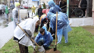 "Беларусь всегда была ухоженной". Жодинский ветеран об акции по благоустройству своего двора