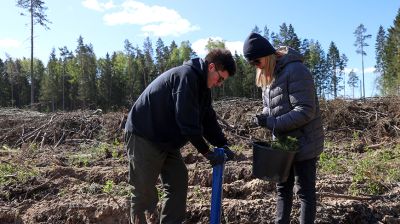 "Лес! Дабро! Парадак!": коллектив БЕЛТА помог обновить лес в Столбцовском районе