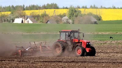 "День труда - потому и работаем". Как аграрии в Гродненском районе трудились в Первомай