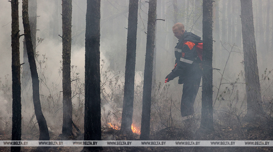 Спасатели продолжают работать в Вороновском районе