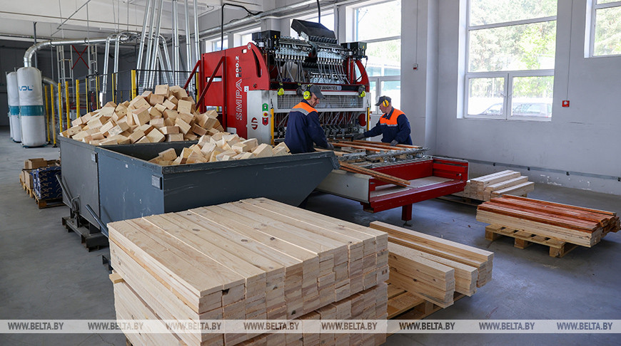 Линию лесопиления мелкотоварной древесины запустили в Ганцевичском лесхозе