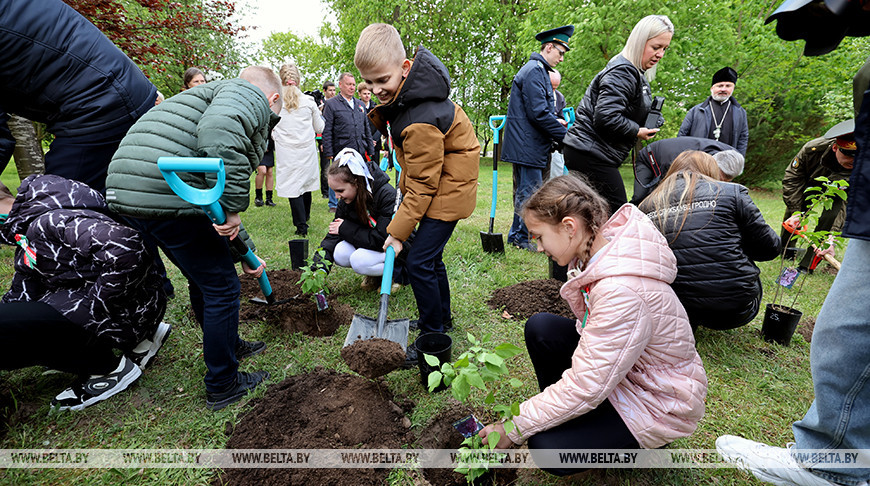 "Байконур" и "Севастопольский вальс". Аллея "Сирень Победы" в Гродно пополнилась новыми сортами