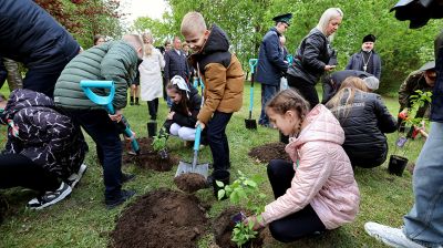 "Байконур" и "Севастопольский вальс". Аллея "Сирень Победы" в Гродно пополнилась новыми сортами