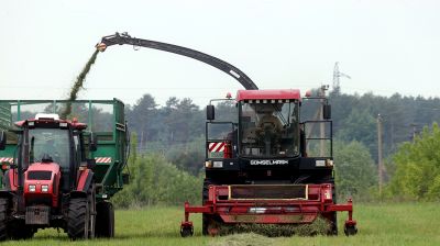 В Гомельском районе приступили к активной заготовке сочных кормов из трав первого укоса
