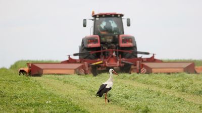 В Брестском районе активно идет укос трав для заготовки кормов 