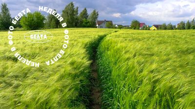 ЛУЧШИЕ ФОТО НЕДЕЛИ ПО ВЕРСИИ БЕЛТА