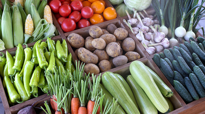 КФХ Столинского района используют пеллеты для производства плодоовощной продукции