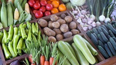 КФХ Столинского района используют пеллеты для производства плодоовощной продукции