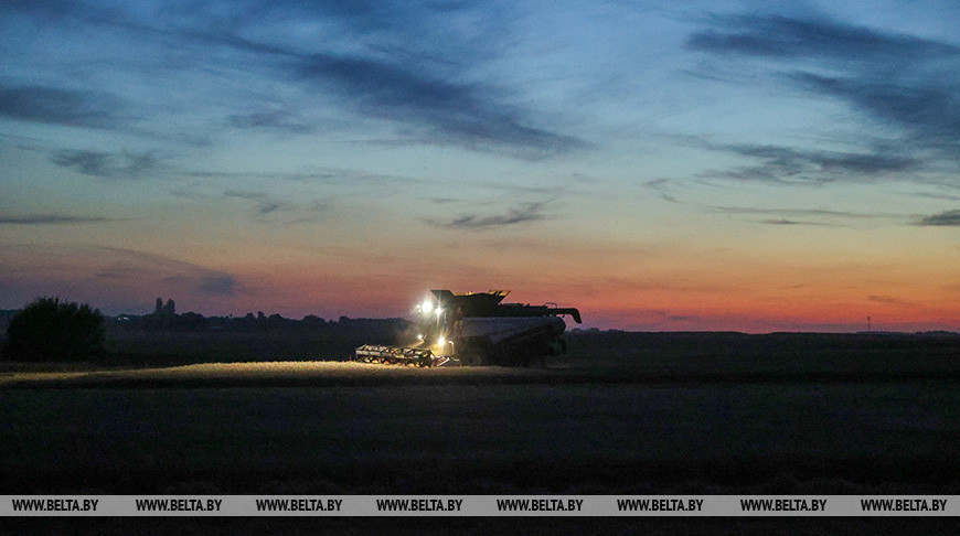 Ночная жатва в Брестском районе