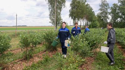 Весело и с пользой. Трудовое лето студотрядовцев из Клецкого района