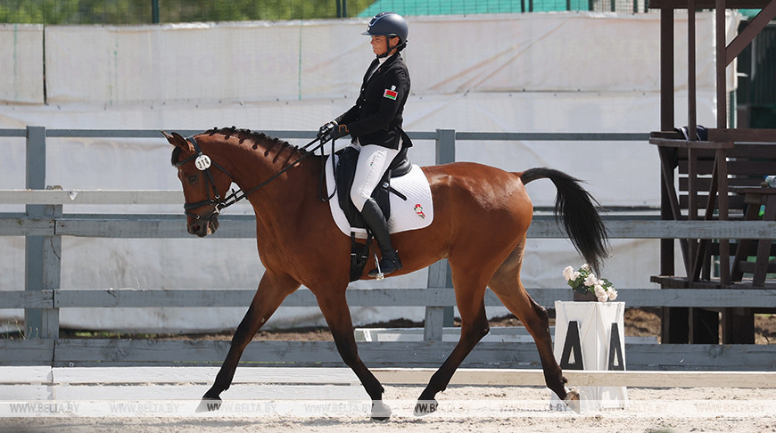 Один из главных стартов сезона: Кубок СНГ по конному троеборью начался в Ратомке