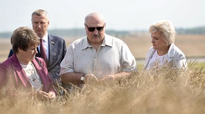 Лукашенко посетил Смолевичский район, в центре внимания - уборка озимого рапса