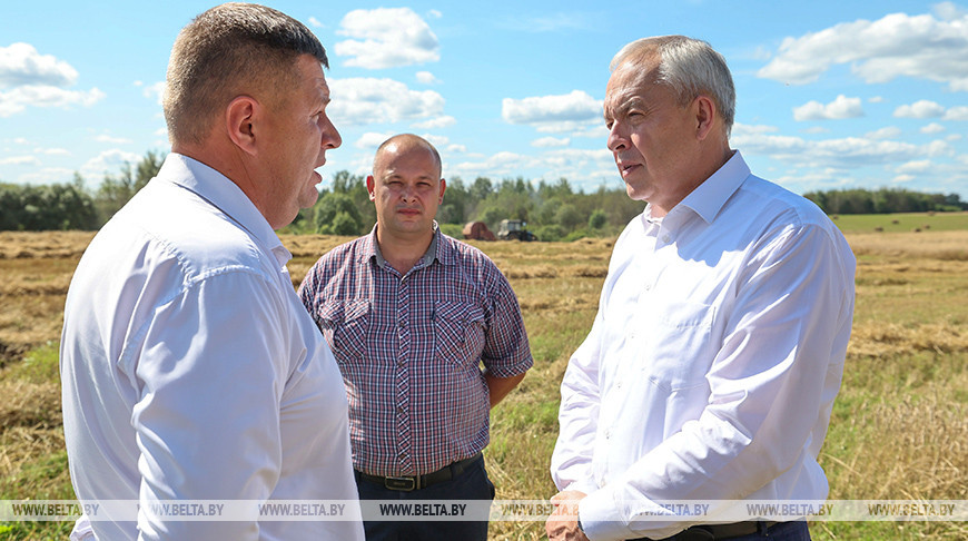 Уборочная, перспективы развития региона. Сергеенко с рабочей поездкой посетил Витебскую область