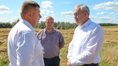 Уборочная, перспективы развития региона. Сергеенко с рабочей поездкой посетил Витебскую область
