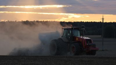 Сев озимого рапса идет на полях Червенского района