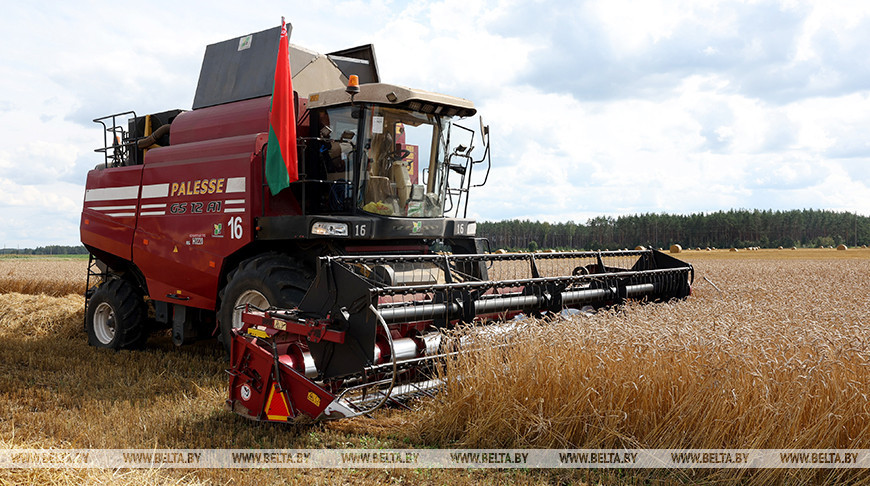Аграрии Минской области намолотили 2 миллиона тонн зерна с учетом рапса