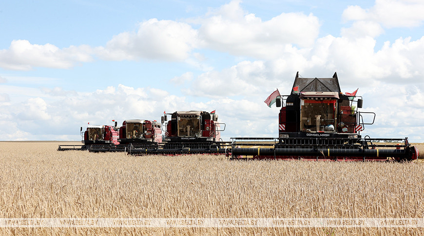 В Слуцком районе чествовали комбайнера-восьмитысячника 