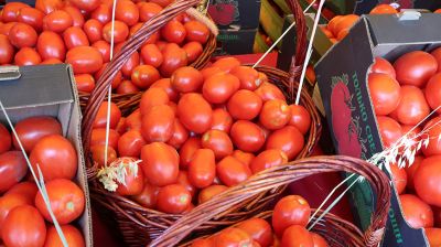 Томаты, баклажаны, дыни и арбузы. Ярмарку астраханских товаров открыли в Могилеве