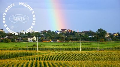 ЛУЧШИЕ ФОТО НЕДЕЛИ ПО ВЕРСИИ БЕЛТА