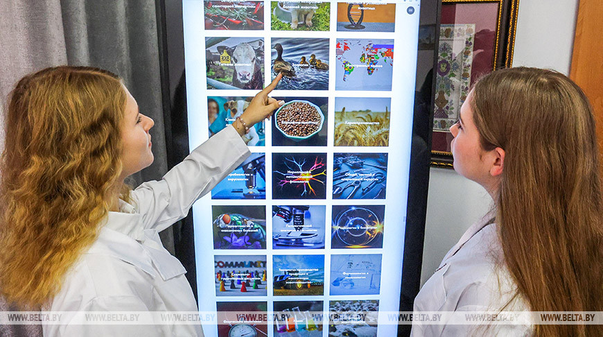 Онлайн-гид по студенческому городку. Как первокурсники Витебской ветакадемии знакомятся с вузом