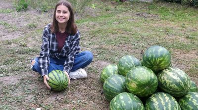 Семена с президентской бахчи дали плоды под Гомелем