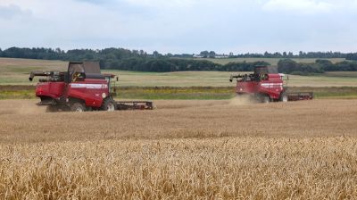 Миллионный рубеж по намолоту зерна и рапса преодолели аграрии Витебской области