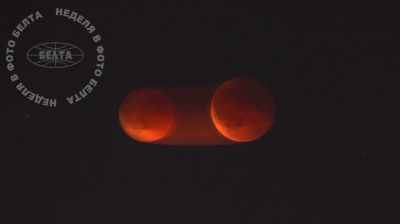 ЛУЧШИЕ ФОТО НЕДЕЛИ ПО ВЕРСИИ БЕЛТА