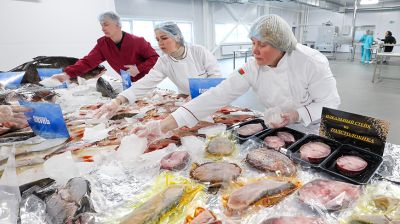 Многофункциональный консервный завод открыли в Новолукомле