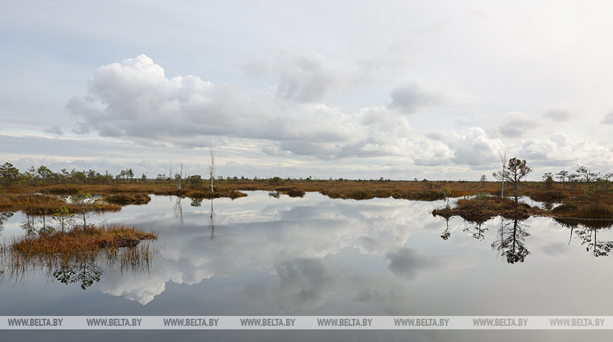 Удивительное по красоте место. Заказник "Ельня"