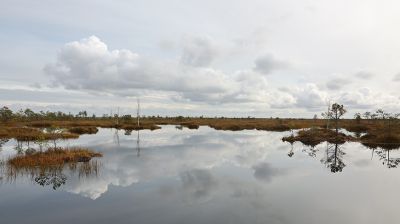Удивительное по красоте место. Заказник "Ельня"