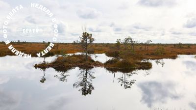 ЛУЧШИЕ ФОТО НЕДЕЛИ ПО ВЕРСИИ БЕЛТА