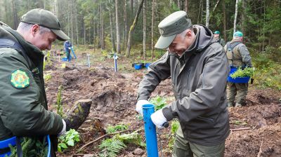 Вольфович: приумножая природное богатство, мы укрепляем экологическую безопасность страны