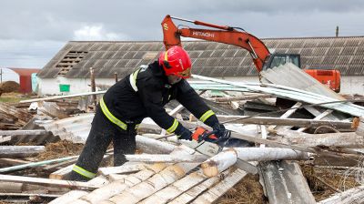 Поврежденные кровли, разрушенный телятник: в Могилевской области ликвидируют последствия сильного ветра