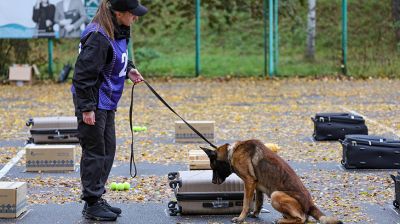 В Беларуси проходит чемпионат по служебному многоборью кинологов