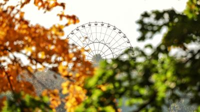  Осень в Беларуси в объективе фотографов БЕЛТА
 