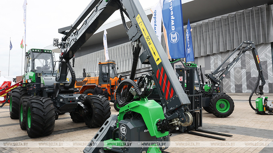 Новинки техники, деревянные дома и дары леса. Выставка "Лесдревтех" стартовала в Минске