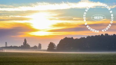 ЛУЧШИЕ ФОТО НЕДЕЛИ ПО ВЕРСИИ БЕЛТА