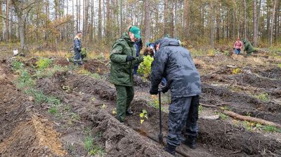 Задел на будущее, важный ресурс для следующих поколений. Карпенко об акции "Дай лесу новае жыццё!"