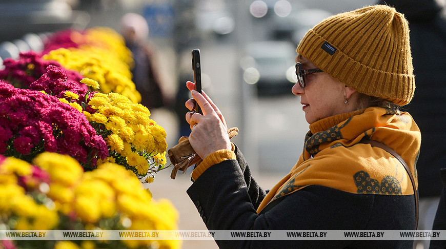 Золотые краски осени