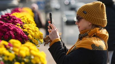 Золотые краски осени