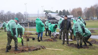 На Кургане Славы на субботнике заложили новый парк в виде крыльев аиста