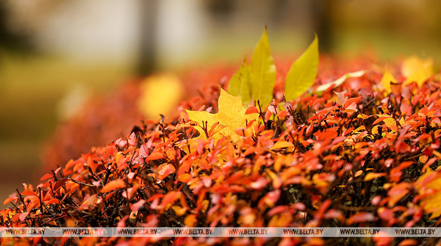 Осенний дождливый день