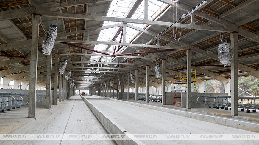 Три крупных животноводческих комплекса строят в Брестском районе