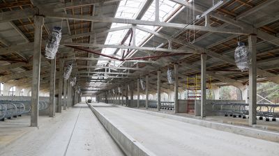 Три крупных животноводческих комплекса строят в Брестском районе