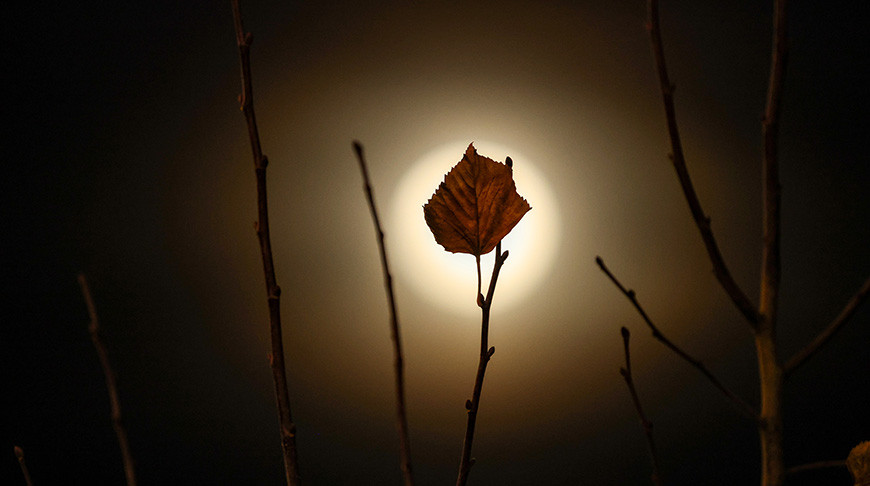 "Бобровая луна" над Беларусью