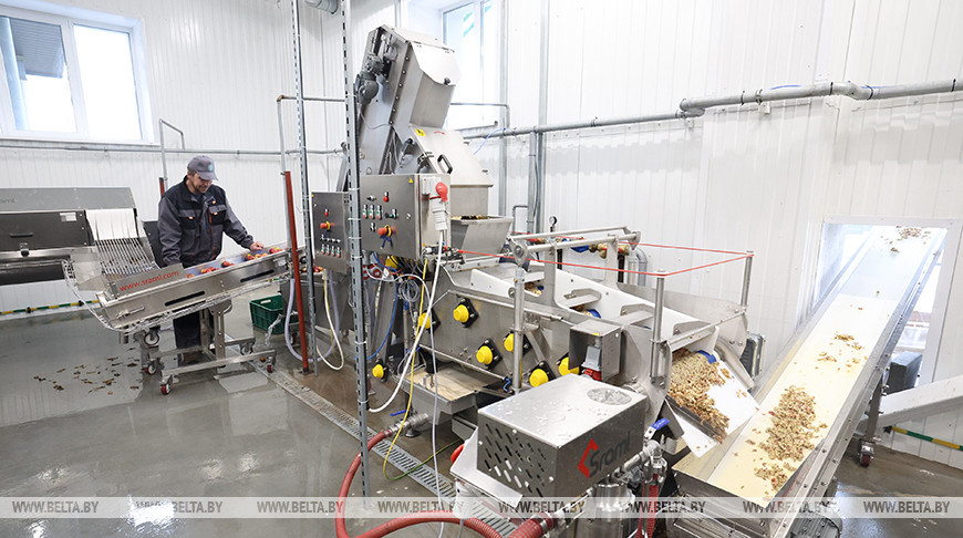 Предприятие по производству соков прямого отжима открылось в Шарковщине