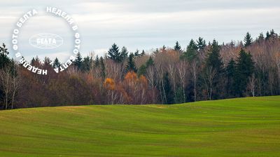 ЛУЧШИЕ ФОТО НЕДЕЛИ ПО ВЕРСИИ БЕЛТА