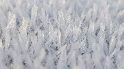 Первые предвестники зимы