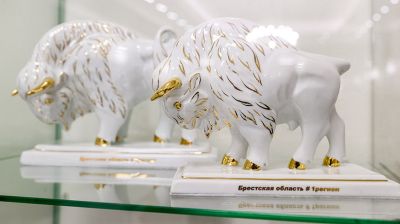 Музей с уникальной коллекцией зубров появился в Бресте