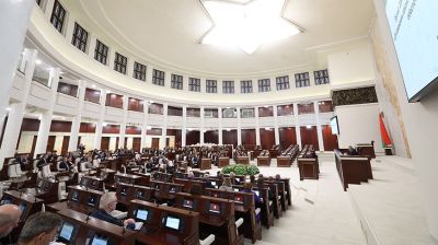 Законопроект по вопросам индивидуальной предпринимательской деятельности принят во втором чтении